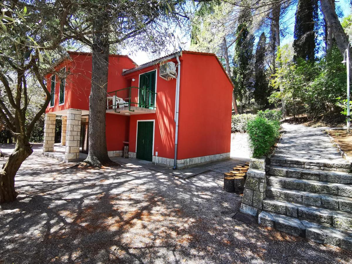 Morski Gaj Resort Πιράν Εξωτερικό φωτογραφία