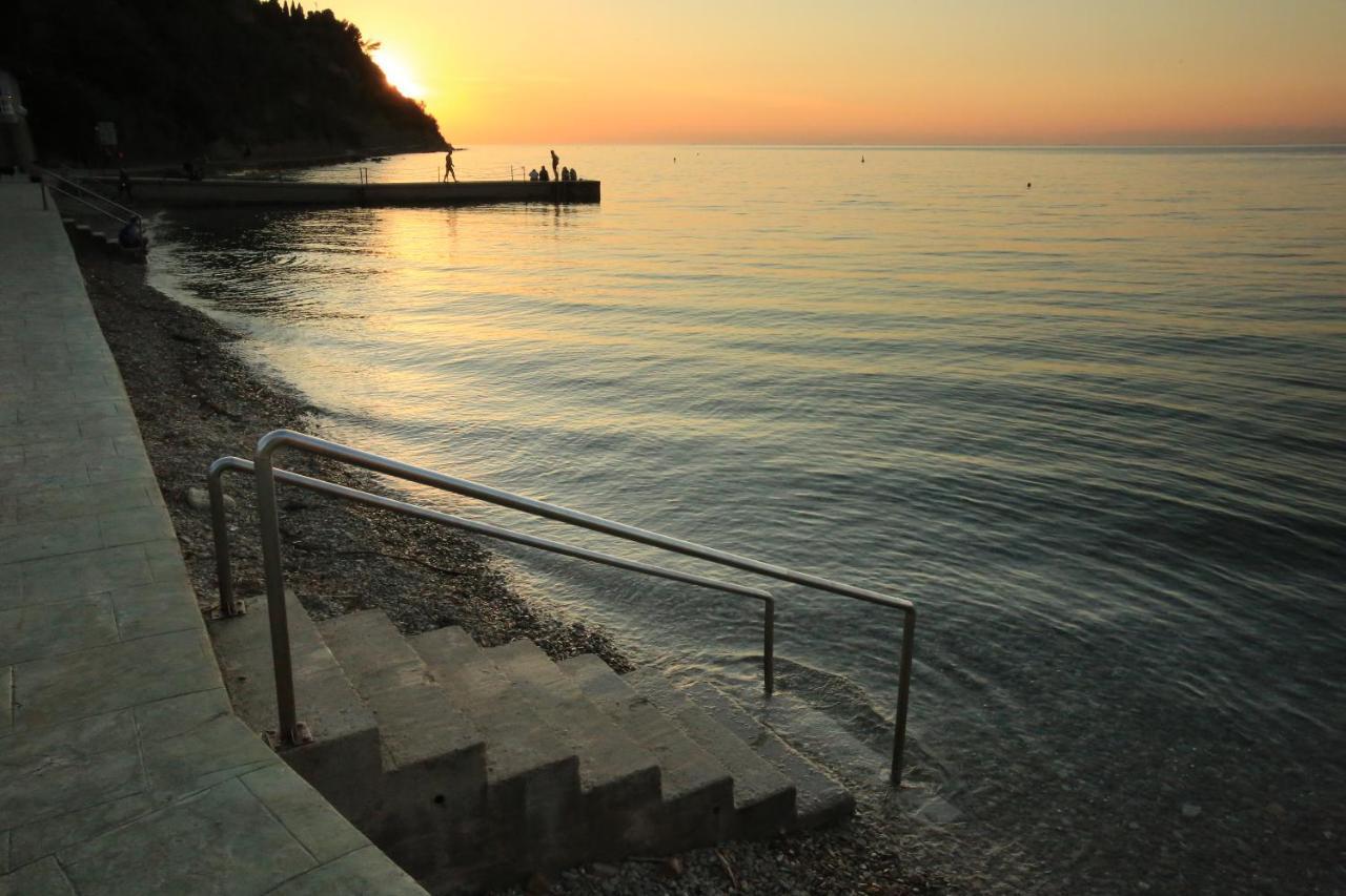 Morski Gaj Resort Πιράν Εξωτερικό φωτογραφία