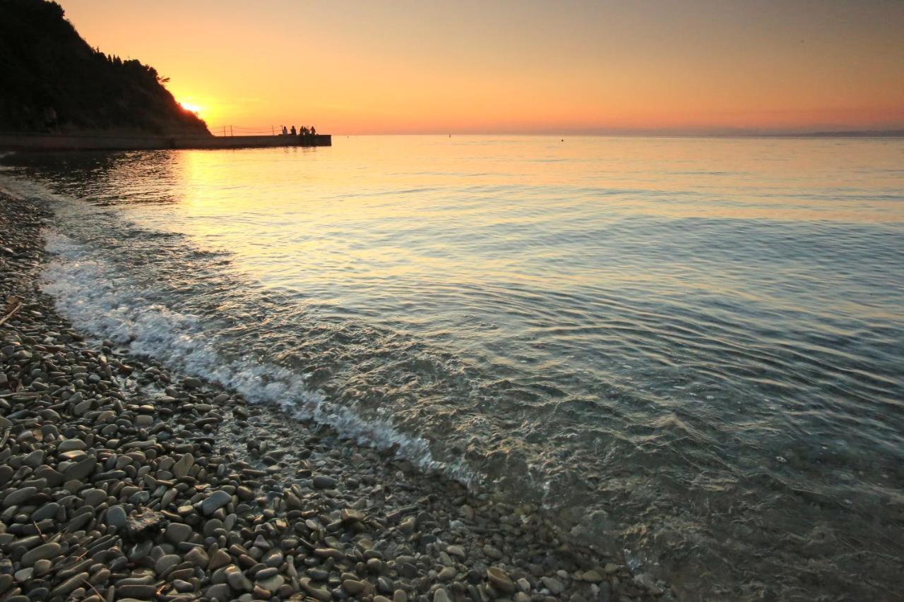 Morski Gaj Resort Πιράν Εξωτερικό φωτογραφία